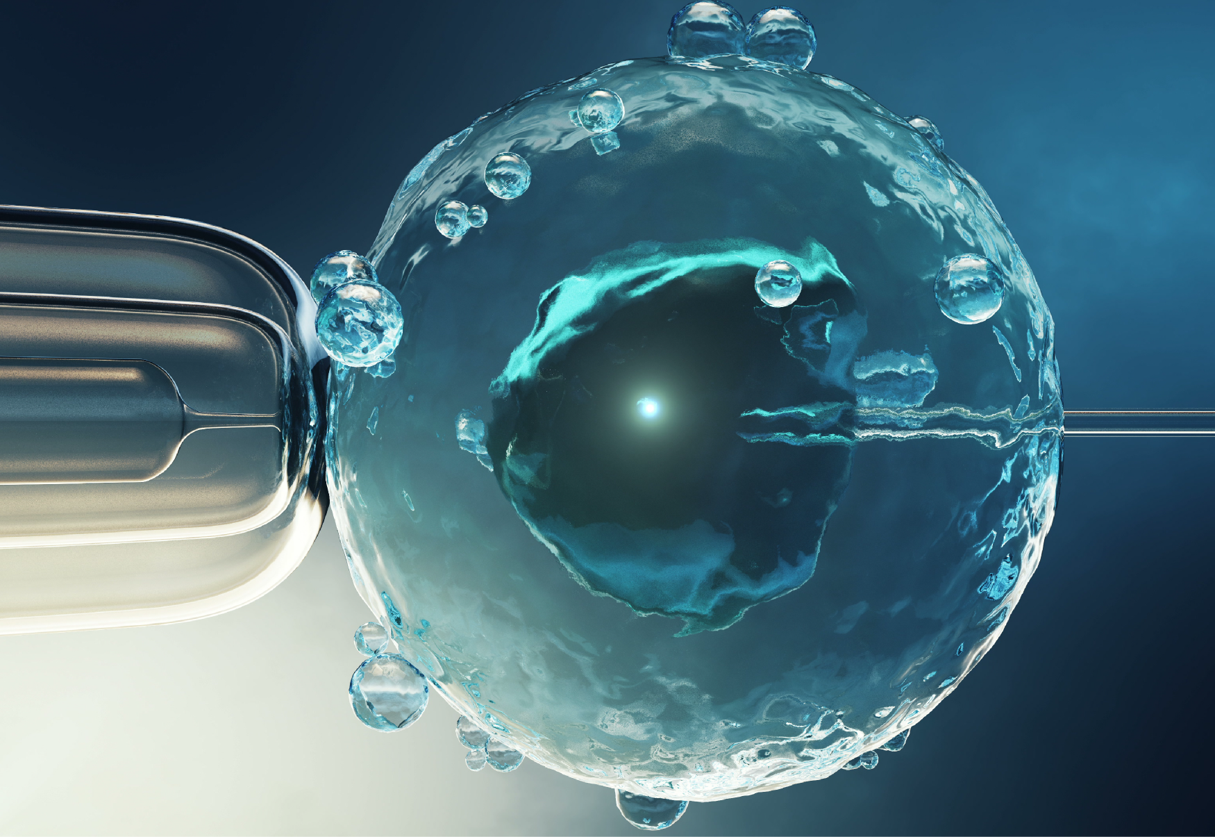 IVF / ICSI
