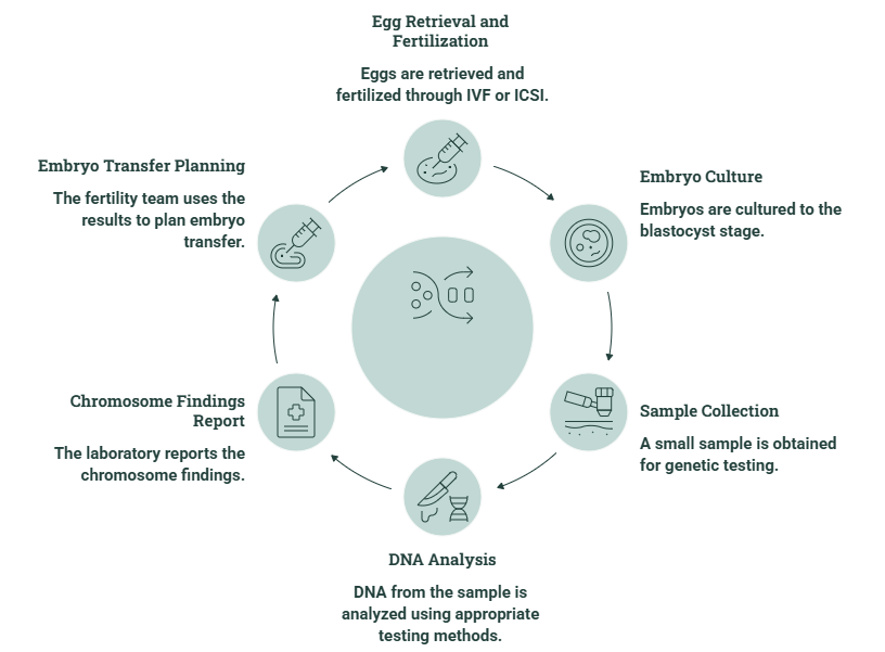 pgt-a process