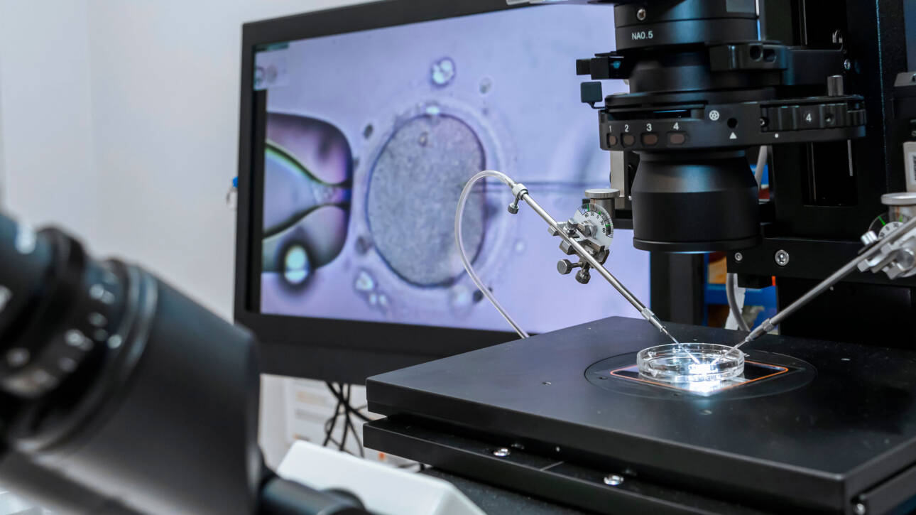 ข้อควรระวังและการปฏิบัติตัวสำหรับคุณแม่หลังขั้นตอนการย้ายตัวอ่อนกลับเข้าสู่โพรงมดลูก GFC Clinic