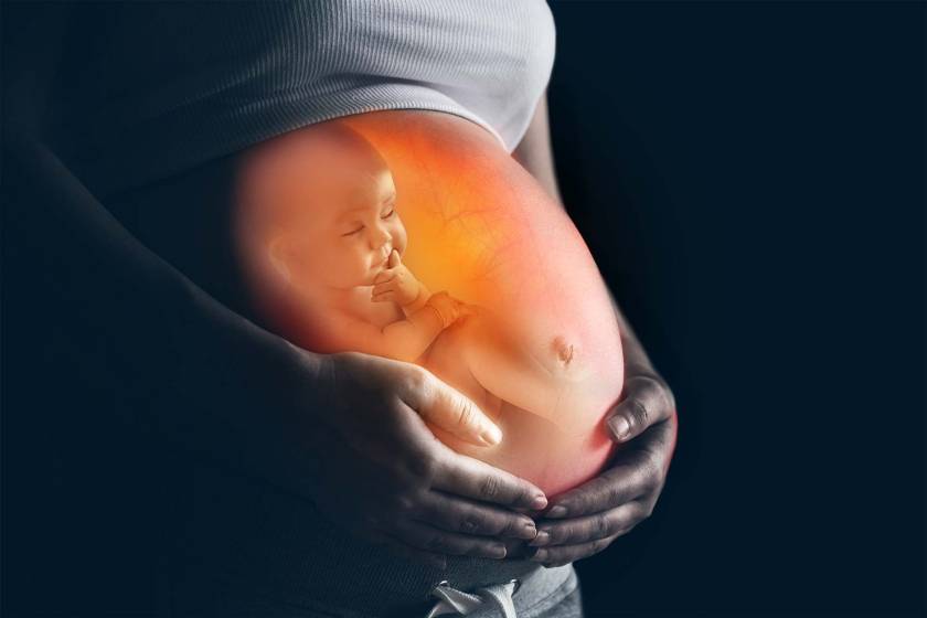 ประเภทยาวิตามินและอาหารเสริมที่จำเป็นสำหรับการเตรียมตัวทำ IVF/ICSI เพื่อบำรุงไข่และสเปิร์ม GFC Clinic