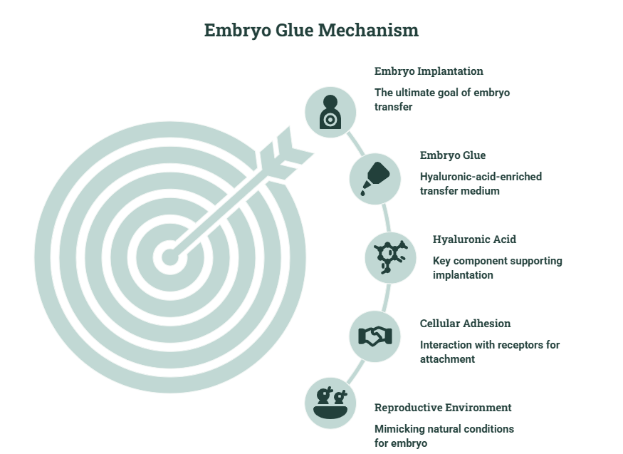 embryo works