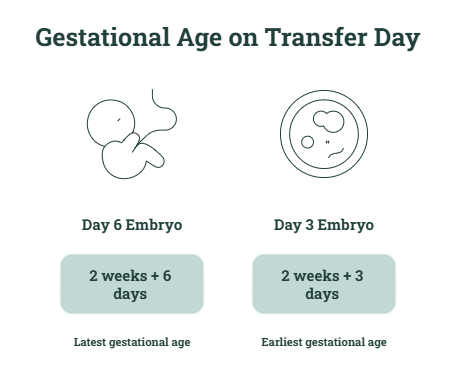 gestational Age