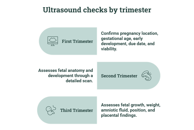 ultrasound check