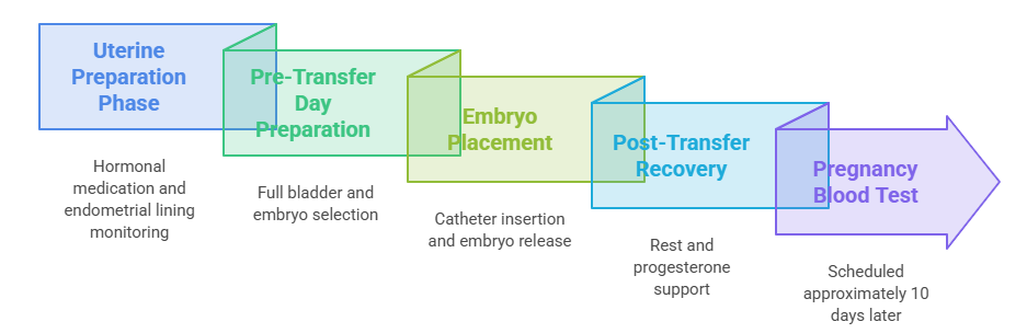 embryo transfer procedure