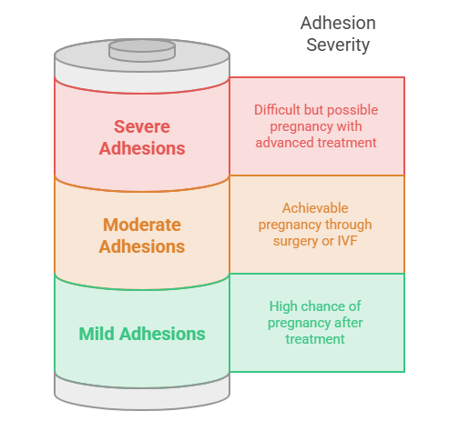 adhesion severity