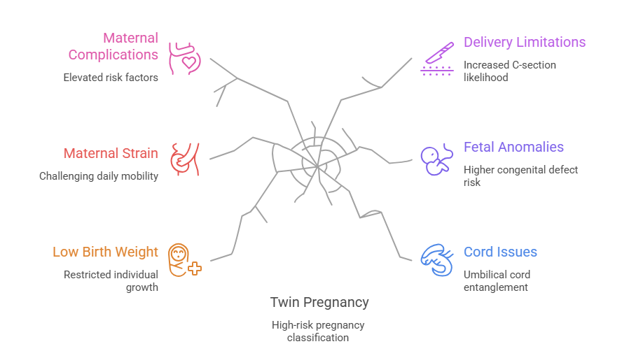 twin pregnancy