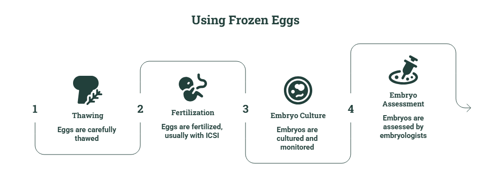 frozen eggs
