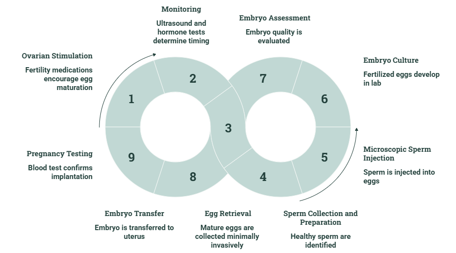 icsi treatment cycle
