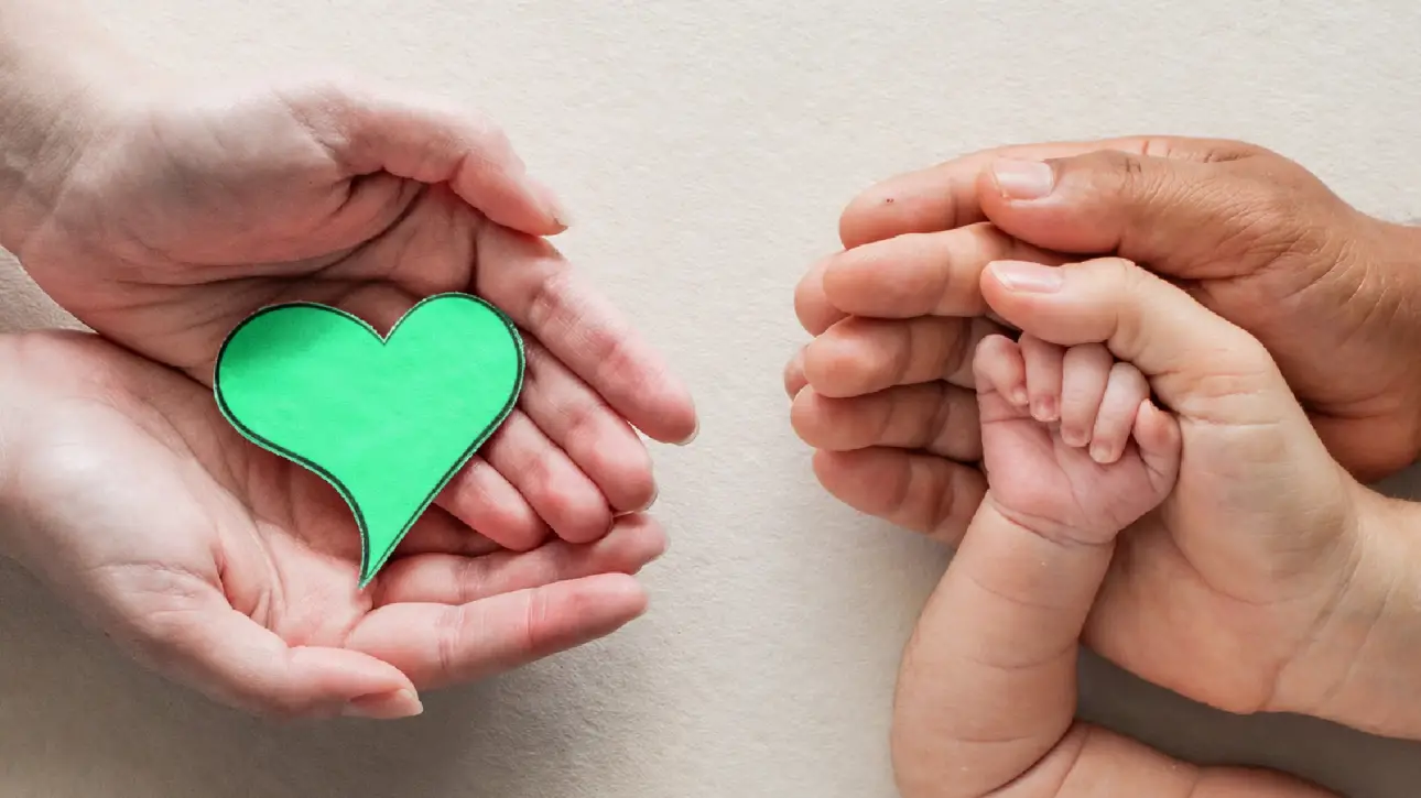 การทำ IVF ด้วยไข่บริจาค (Donor Egg) ขั้นตอนและข้อควรรู้สำหรับผู้มีบุตรยากที่ GFC Clinic