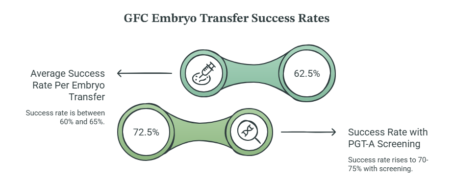 embryo transfer success rates