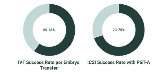 ivf success rate
