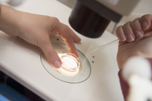 Close-up of an embryologist using a laboratory pipette to handle samples in a petri dish under a microscope during IVF laboratory work.