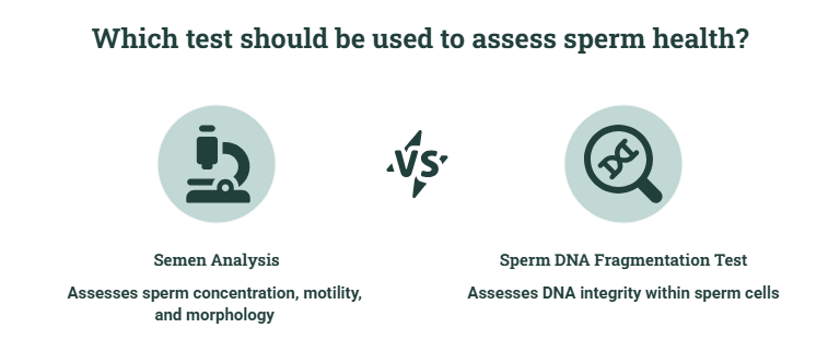 sperm health test